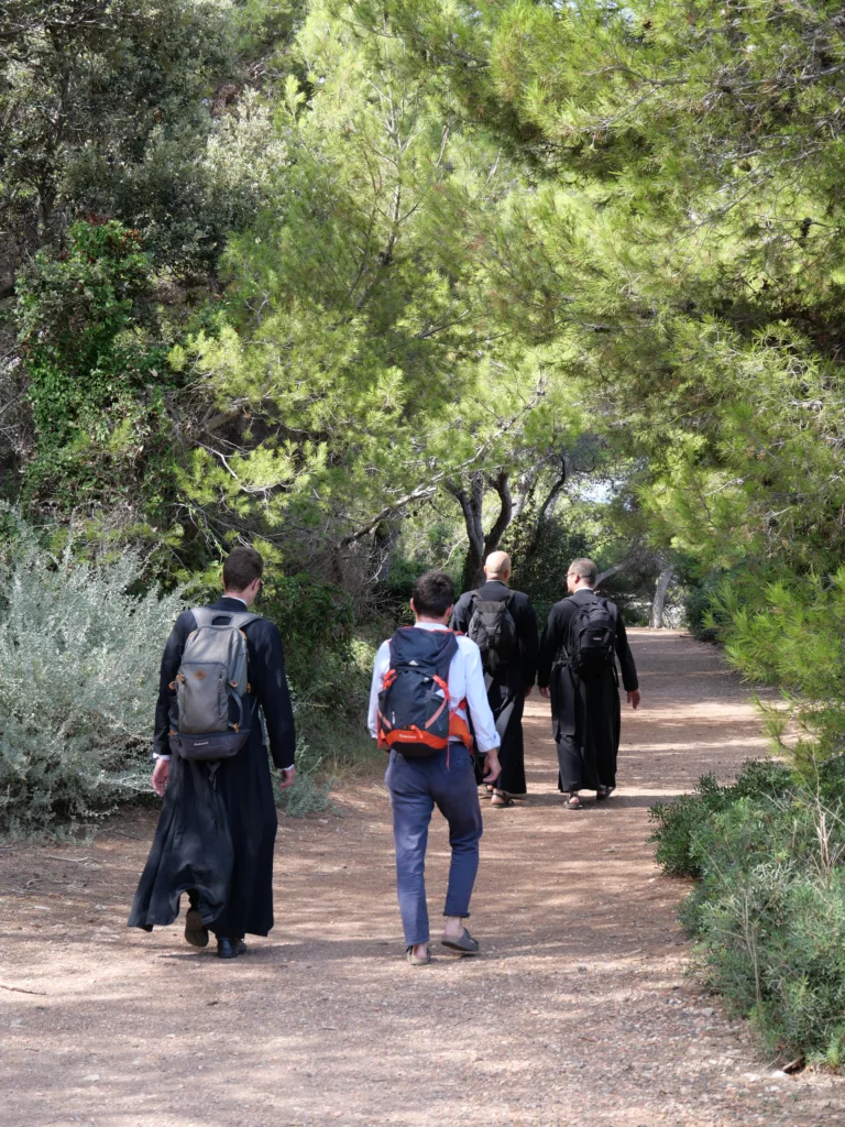 Hommes qui marchent en forêt