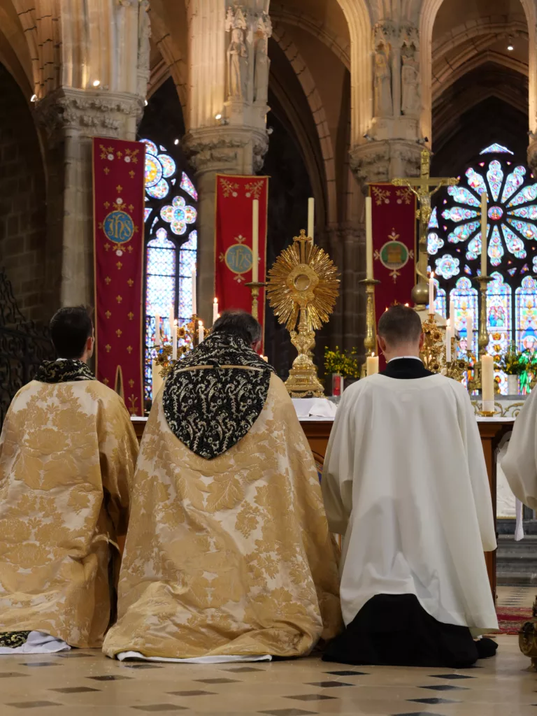 Salut du TSS basilique
